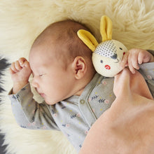 Load image into Gallery viewer, Organic Soft Cotton Bunny Blankie