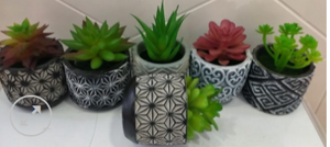 Succulents potted with artificial plant  (Various styles)