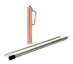 IOco Expandable Straw with Case and Cleaner - Rose Gold